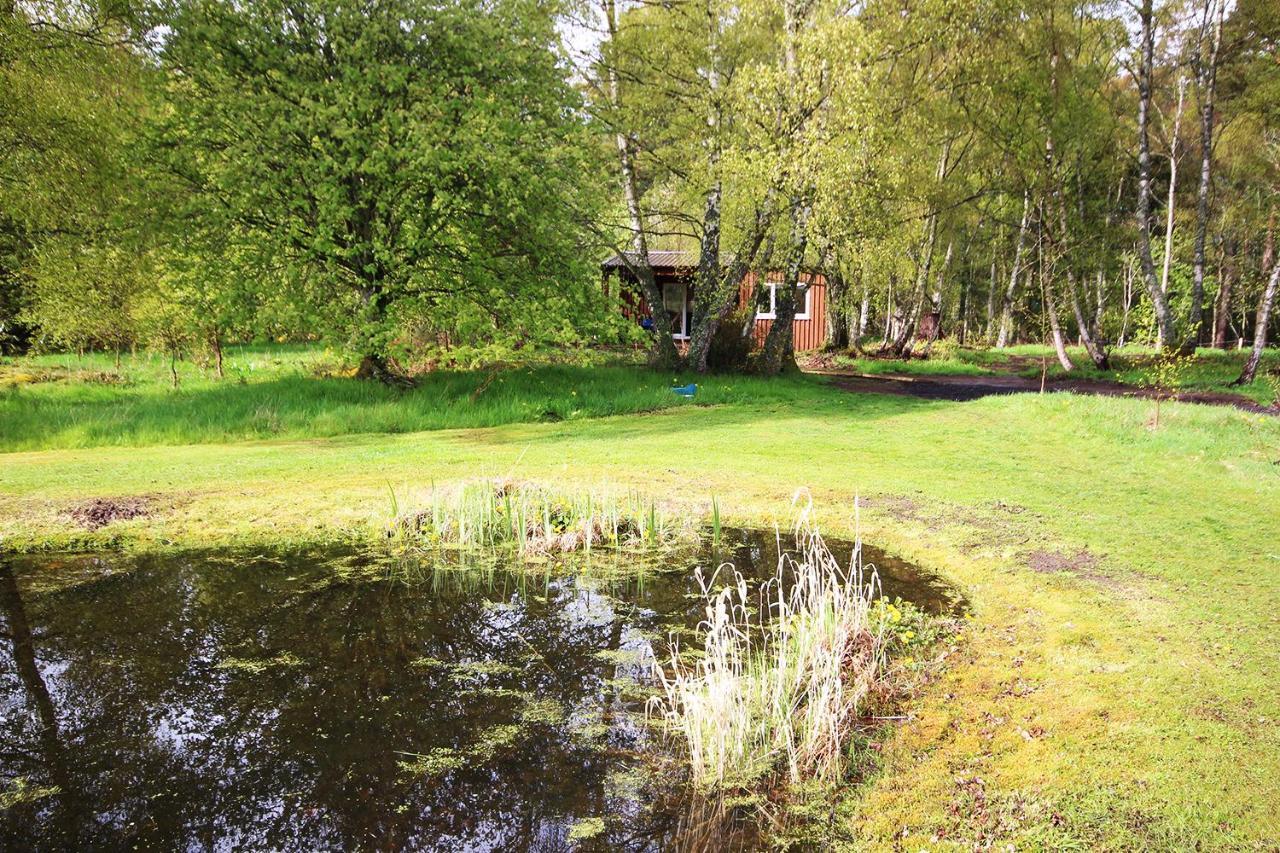 The Cabin At Easter Arr Auldearn Экстерьер фото